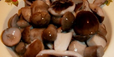 Vrganji za zimu: kako kuhati, jednostavni recepti